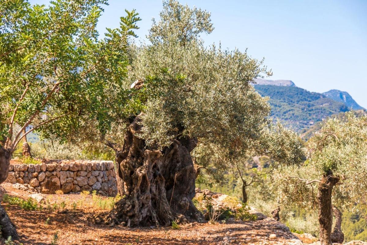 Finca Rural Es Pujol Soller Exterior photo